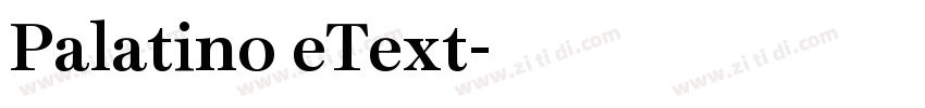 Palatino eText字体转换 Palatino eText字体转换